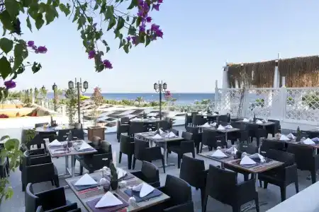 Paloma Oceana - 14
