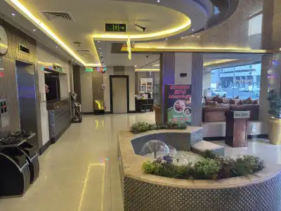 Orchid - 20