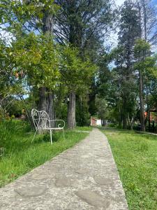 Ozero Divnoe Park-Hotel - 27