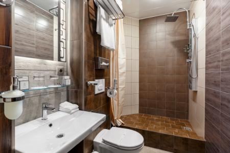 БАГРАТИОН - 113