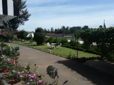The Trevene - 8