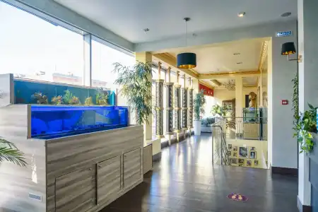 7 Avenue and SPA - 36