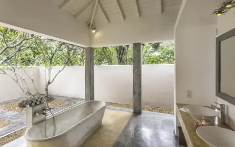 The Frangipani Tree by Edwards Collection - 94
