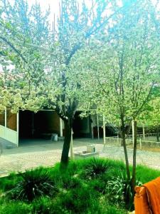 Colibri Traditional Guest House - 19