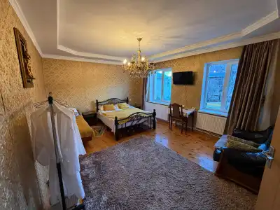 Elguja Qushashvili Guest house - 27