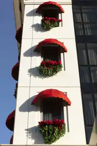 Buem Koşuyolu - 21