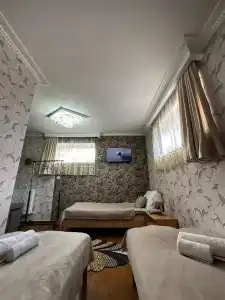 Elguja Qushashvili Guest house - 13