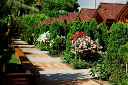 Zolotaya Buhta - 13