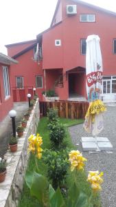 Zau Villa - 5