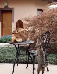 Odisseya Resort - 114