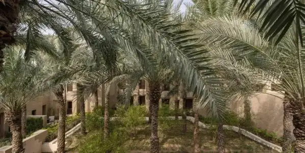 Bab Al Shams - 20