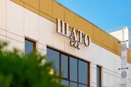 Shato City - 11
