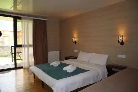 Kazbegi Cottages - 7