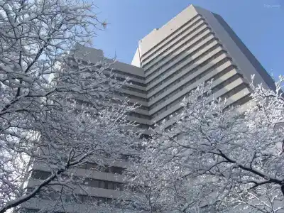 Capital - 7