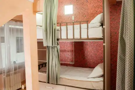 Hostel Botanical - 3