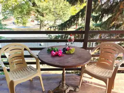 Uralskie Samotsvetyi - 224