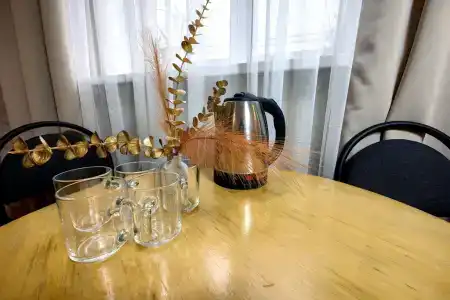 Anna Guest House - 101