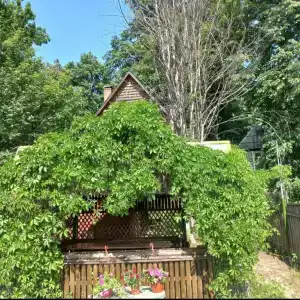 База отдыха Светлая Поляна - 4