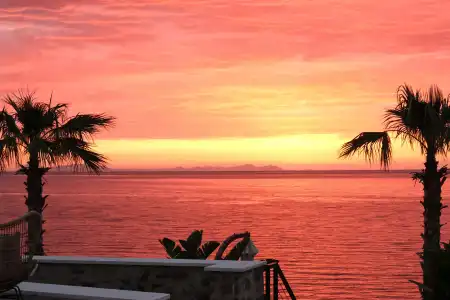 Allium Bodrum Resort & Spa - 4