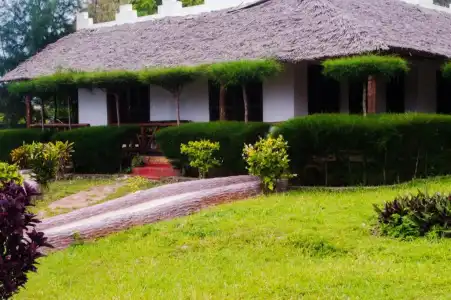 Zanzi Rest Bungalow - 17