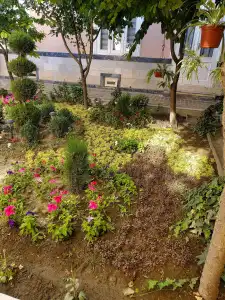 Nursultan Grand Guest House - 2