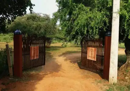 The Elephant Pass Yala - 4