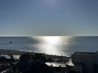 Paradiz - 23