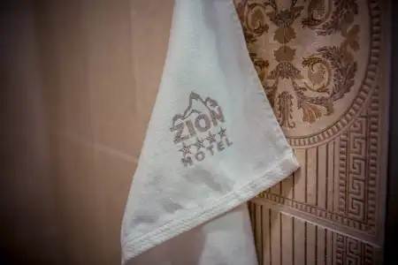 ZION - 41