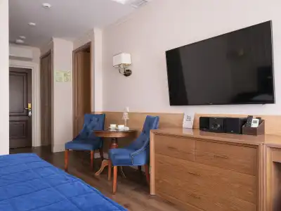Premium - 45