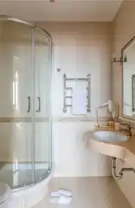 Cosmos Petrozavodsk - 110