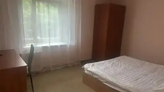 Aleksandrovsky Park - 50