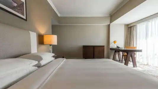 Hyatt Regency - 36