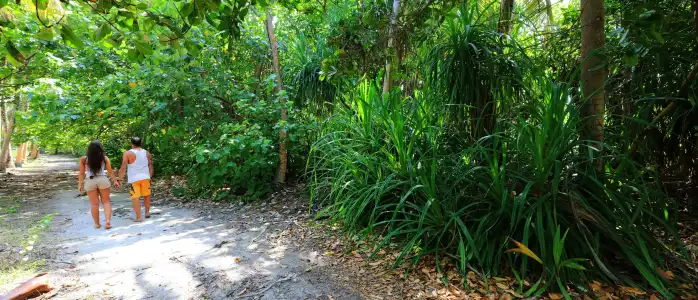Koimala Guest House - 27