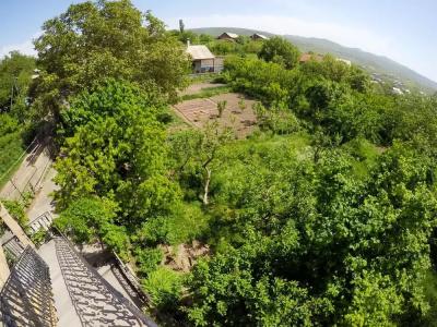 Azhdahak Guesthouse - 5