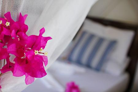 Swahili Beach Resort - 15
