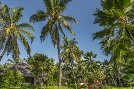 The Palms Zanzibar - 28