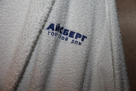 Iceberg - 21