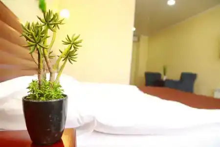 Green City - 5