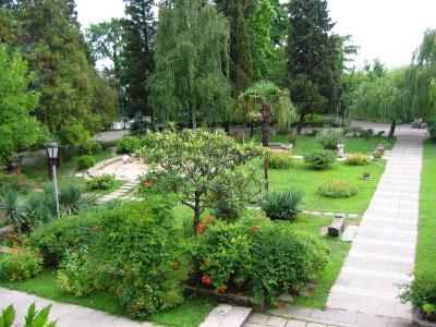 Roza Vetrov (Rosa Del Viento) - 3