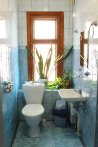Gostiny Dvor Mini-Hotel - 45