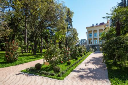 Luxury Apartment Camellia - 20
