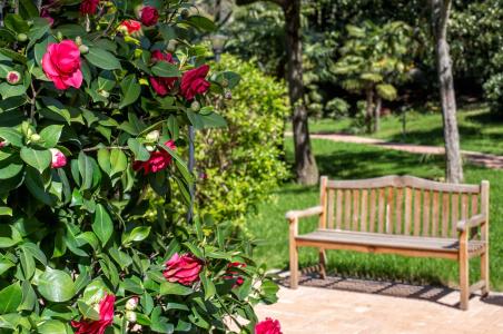 Luxury Apartment Camellia - 5