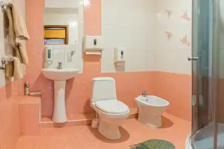 Gostinitsa Miloslavskij - 65