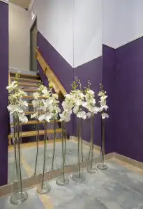 ART 11 - 16