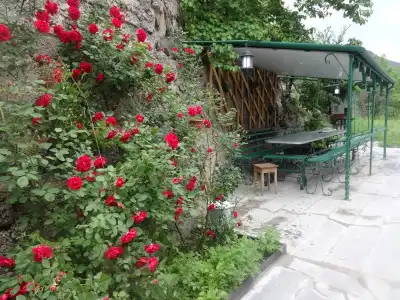 IRIS mini - 5
