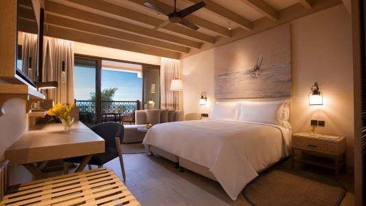 Saadiyat Rotana Resort and Villas - 39