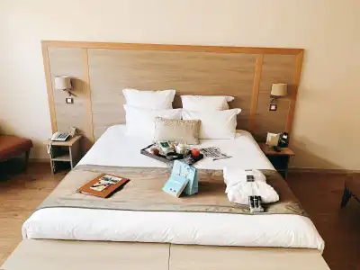 Hôtel Vatel - 42