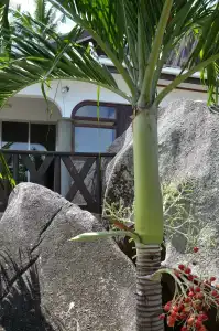 Villa Chez Batista - 120