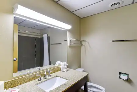 Quality Suites Lubbock Southwest - 28