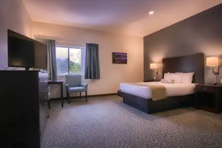 Sun & Ski Inn and Suites - 78